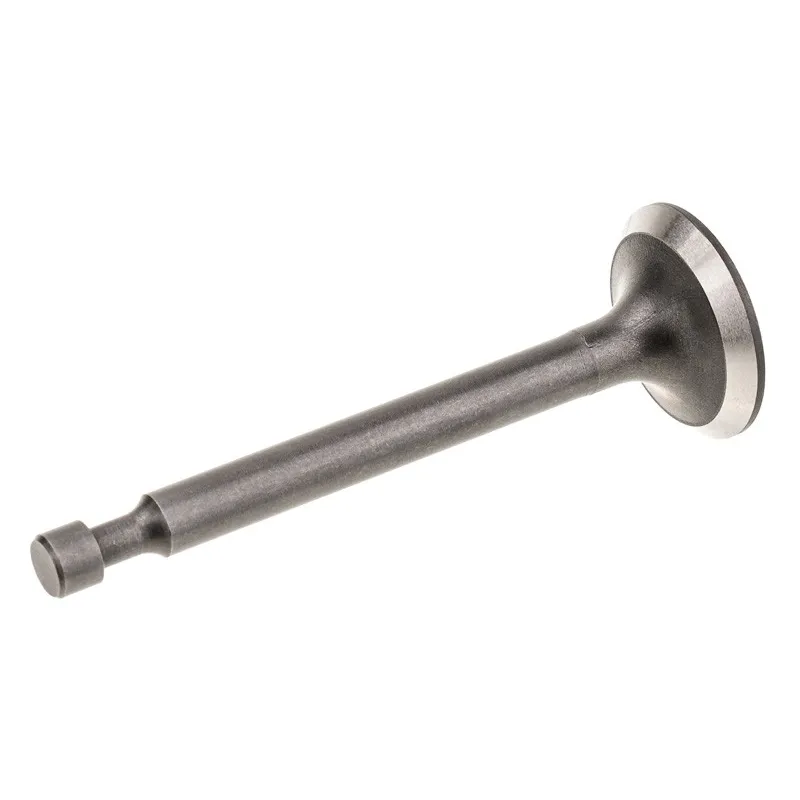 Zawór ssący Cedrus Y139V Zawór ssący Cedrus Y139V