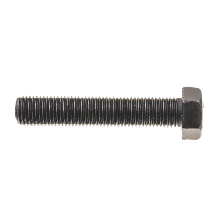 Śruba Cedrus M8x1x30 ZM02 Śruba Cedrus M8x1x30 ZM02