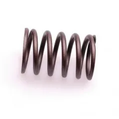 Sprężyna zaworu Rato silnik R670