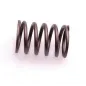 Sprężyna zaworu Rato silnik R670