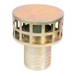 Filtr wody Cedrus pompa PS100-4