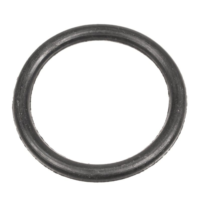 Uszczelniacz Cedrus o-ring pompa PS60-3 PS100-4