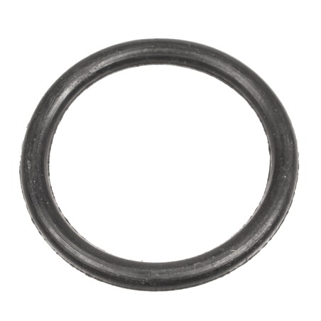 Uszczelniacz Cedrus o-ring pompa PS60-3 PS100-4
