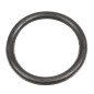 Uszczelniacz Cedrus o-ring pompa PS60-3 PS100-4