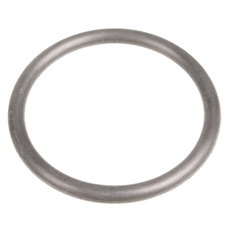 Uszczelniacz Cedrus o-ring pompa PS60-3 PS100-4