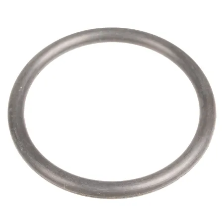 Uszczelniacz Cedrus o-ring pompa PS60-3 PS100-4