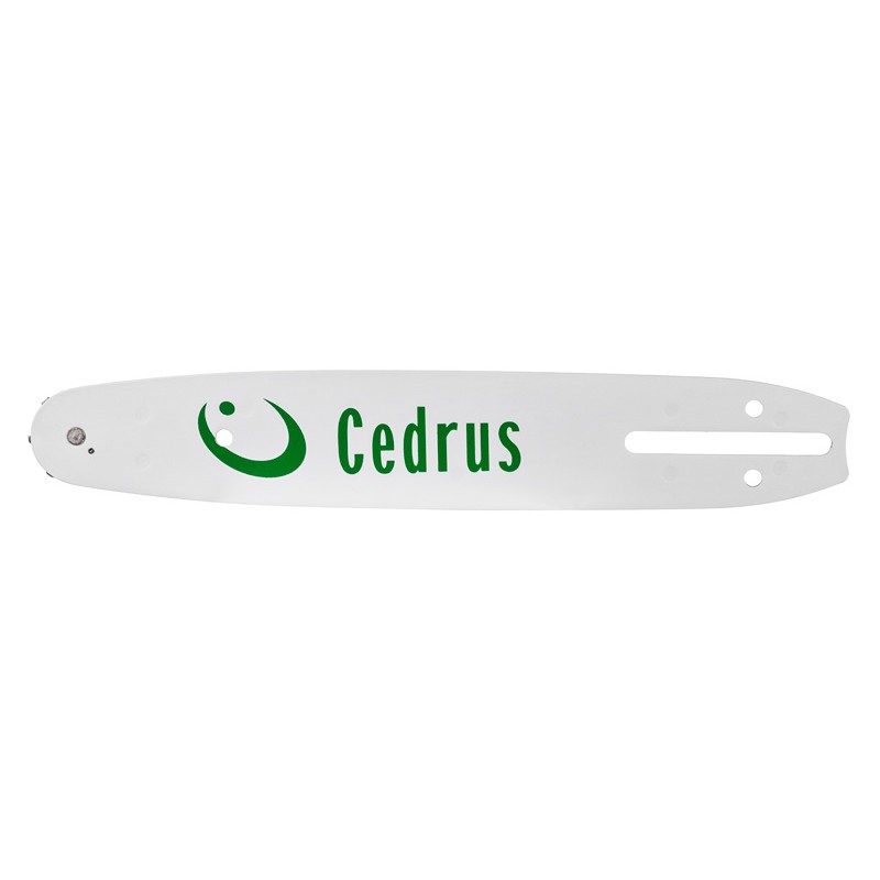 Prowadnica 10 3/8 1.3 Cedrus