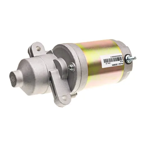 Rozrusznik MTD elektryczny