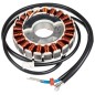 Stator Cedrus agregat CEDIN1000R Stator Cedrus agregat CEDIN1000R