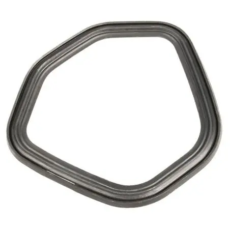 Tesnenie ventilu Loncin G270F G390F G420F LC6500D-AS originál