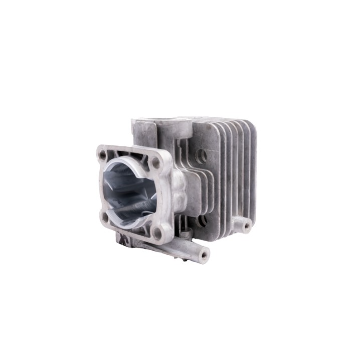 Cylinder CEDRUS dmuchawa DM03 Cylinder CEDRUS dmuchawa DM03