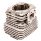 Cylinder Cifarelli BL6S kpl. Cylinder Cifarelli BL6S kpl.