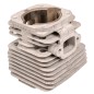 Cylinder Cifarelli BL6S kpl. Cylinder Cifarelli BL6S kpl.