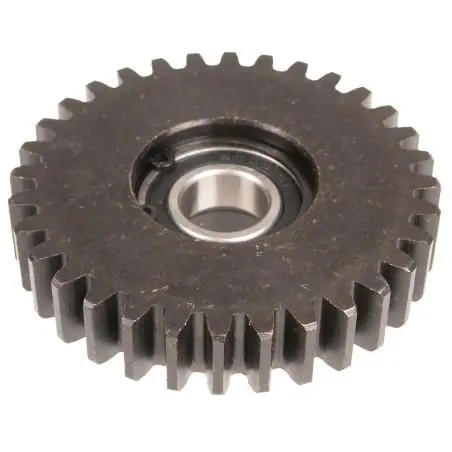 Zębatka przekładni CEDRUS duża glebogryzarka GL07