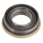 Lower Gearbox Oil Seal Cedrus Tiller GL05
