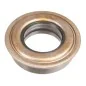 Lower Gearbox Oil Seal Cedrus Tiller GL05