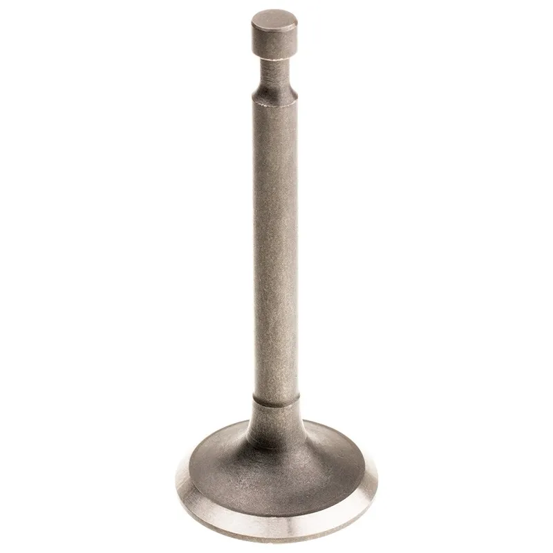 Zawór ssący Cedrus Y196V