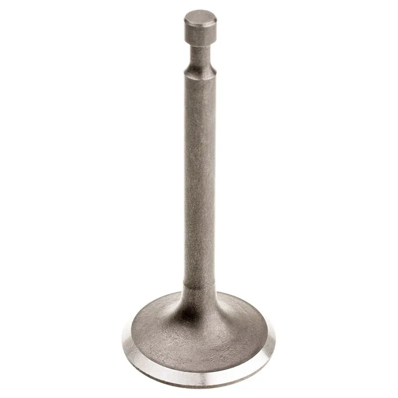 Zawór wydechowy Cedrus Y196V