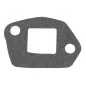 Carburetor Base Gasket Cedrus Y196V