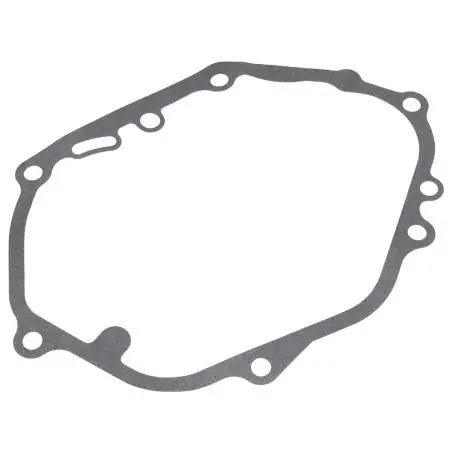 Cedrus Y196V Oil Pan Gasket for Cedrus Engines, 480529
