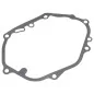 Cedrus Y196V Oil Pan Gasket
