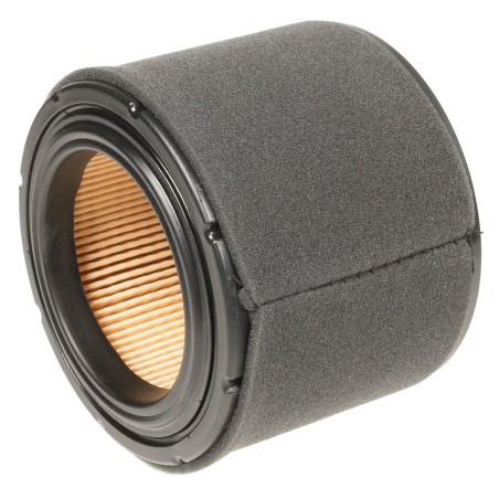 Filtr powietrza FJ180V