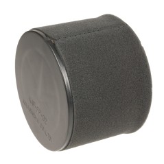 Filtr powietrza FJ180V