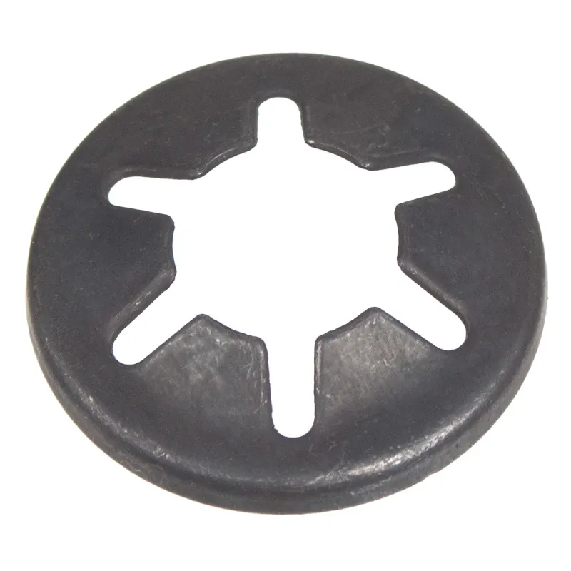 Zabezpieczenie zaworu Cedrus myjka ciśnieniowa MC110