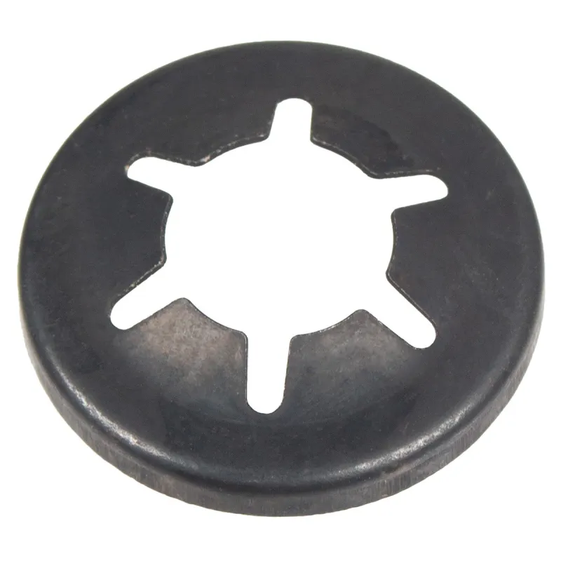 Zabezpieczenie Cedrus myjka ciśnieniowa MC150P