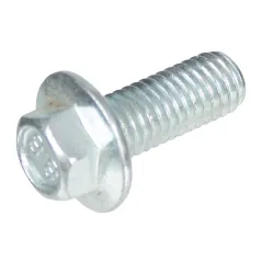 Śruba CEDRUS odśnieżarka CEDSB71-E M8x20