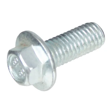 Śruba CEDRUS odśnieżarka CEDSB71-E M8x20