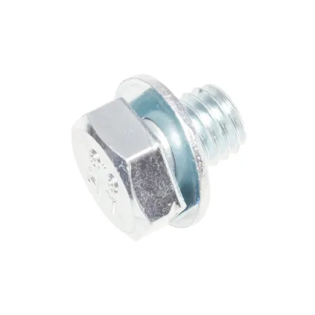 Śruba z podkładką CEDRUS odśnieżarka CEDSB71-E CEDSB61-E