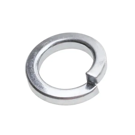 Podkładka koła magnesowego CEDRUS DM01 OP01