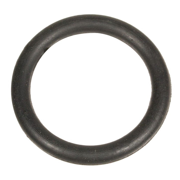 Uszczelniacz Cedrus o-ring pompa PB60-3 Uszczelniacz Cedrus o-ring pompa PB60-3