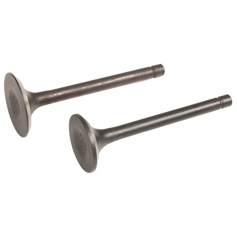 Zawory silnika Loncin kpl. LC80NB20-6.1Q CZĘŚĆ ORYGINALNA