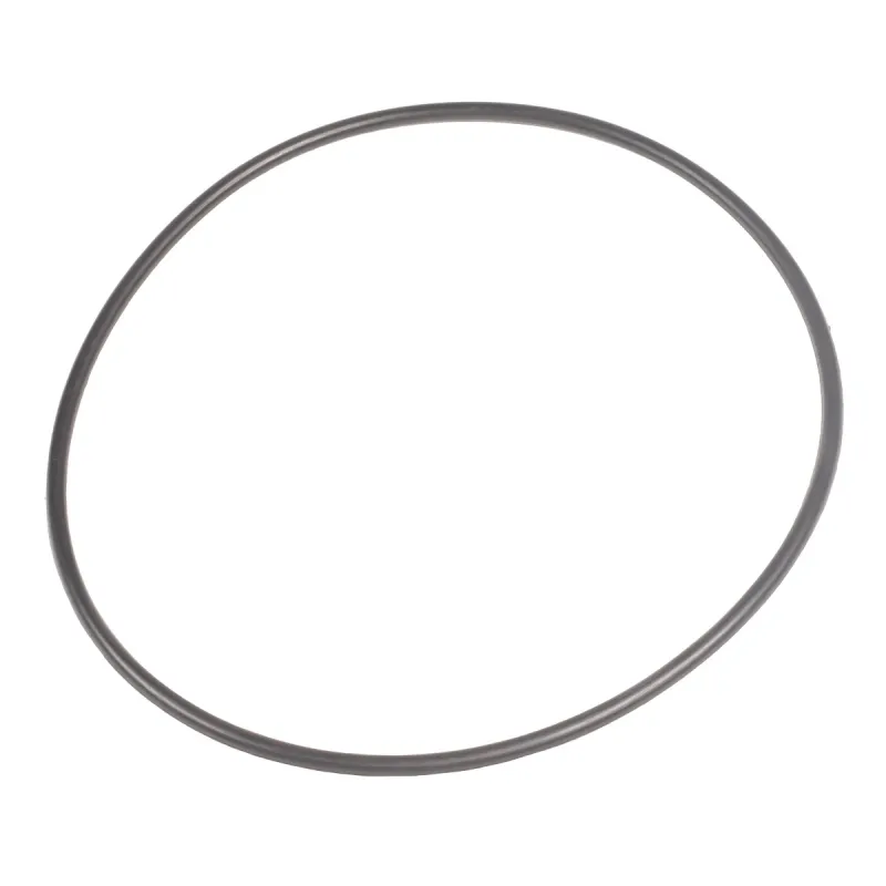 Uszczelka pokrywy Cedrus pompa zanurzeniowa CEDPZ750-R