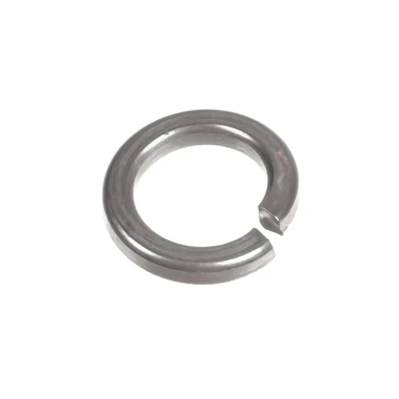 Podkładka sprężysta tarczy tnącej Cedrus rozdrabniacz CEDRE02