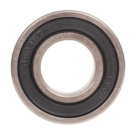 Łożysko 6004 Cedrus kosiarka bijakowa CEDRTJ13