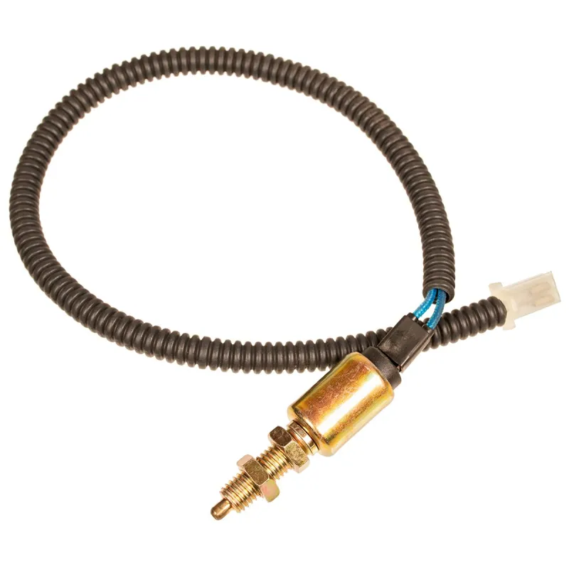 Wyłącznik Weibang WB76E Rider CZĘŚĆ ORYGINALNA Wyłącznik Weibang WB76E Rider CZĘŚĆ ORYGINALNA