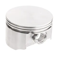 Tłok Cedrus nkpl. wertykulator WR01