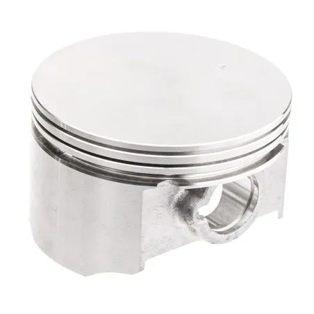 Tłok Cedrus nkpl. wertykulator WR01