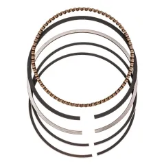 Pierścienie tłoka Cedrus wertykulator WR01