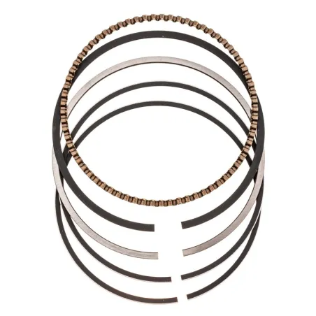 Pierścienie tłoka Cedrus wertykulator WR01