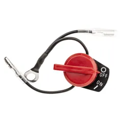 Wyłącznik zapłonu Cedrus wertykulator WR01