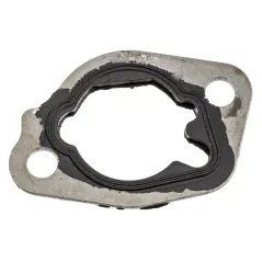 Uszczelka gaźnik-filtr Cedrus wertykulator WR01