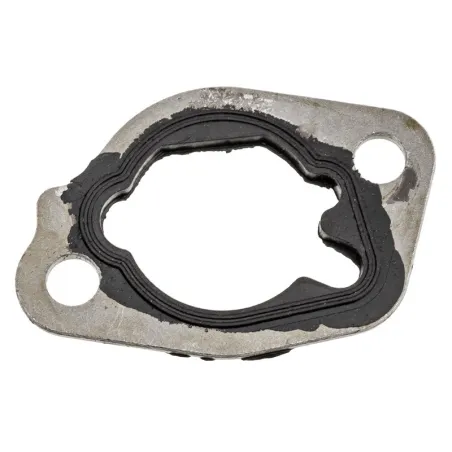 Uszczelka gaźnik-filtr Cedrus wertykulator WR01