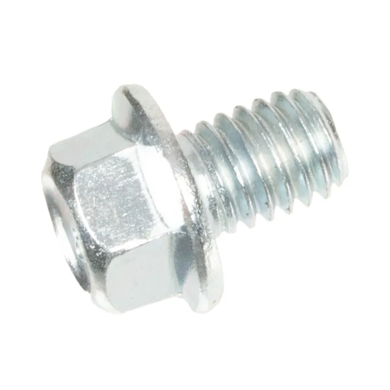 Śruba Cedrus wertykulator CEDWR02R Śruba Cedrus wertykulator CEDWR02R