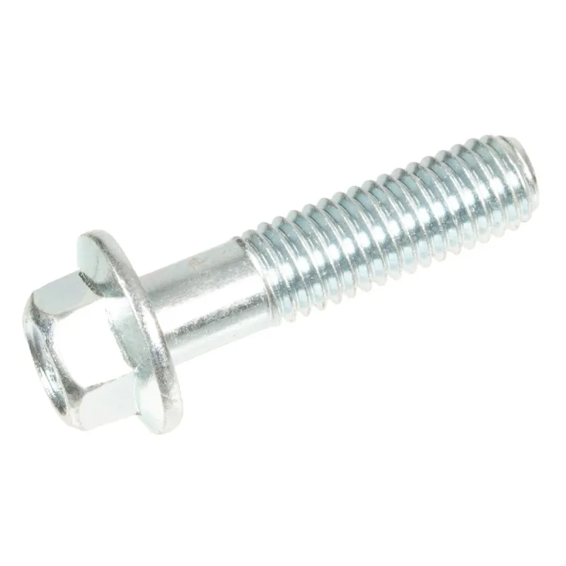 Śruba Cedrus wertykulator CEDWR02R Śruba Cedrus wertykulator CEDWR02R