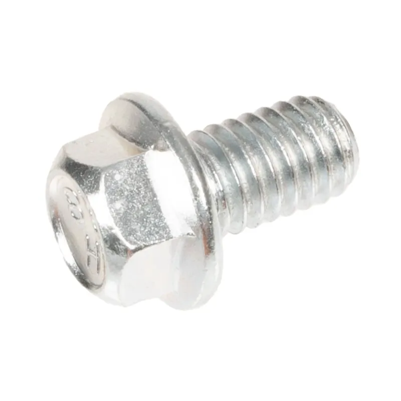 Śruba Cedrus wertykulator CEDWR02R Śruba Cedrus wertykulator CEDWR02R