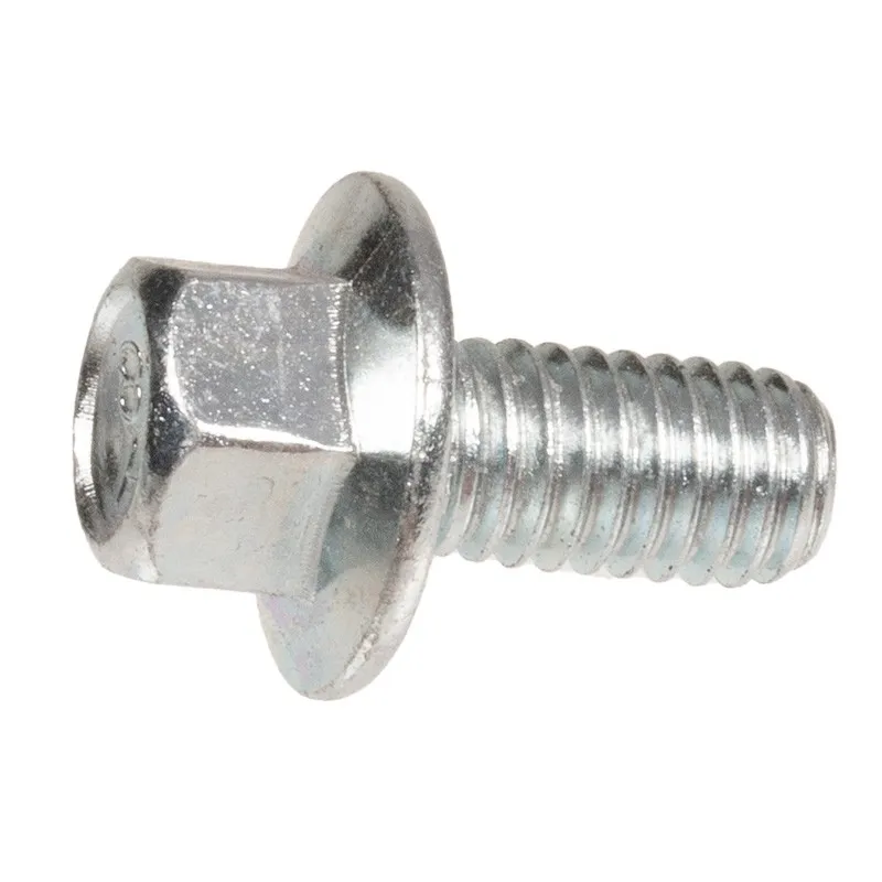 Śruba Cedrus wertykulator CEDWR02R Śruba Cedrus wertykulator CEDWR02R